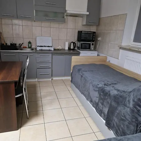 Sawago Mini Apartament Studio 23M2 - Samodzielnie Zameldowanie Ciechanów Exterior foto